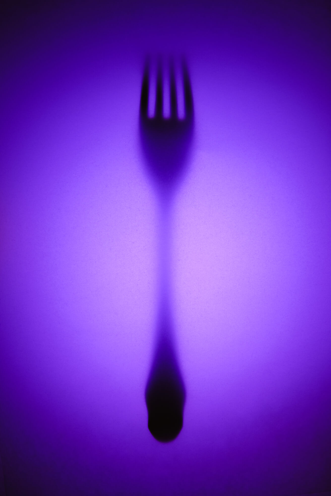 The Fork #23 | Filippo Drudi